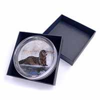 Mink on Ice Glass Paperweight in Gift Box Christmas Present