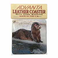 Mink on Ice Single Leather Photo Coaster Animal Breed Gift