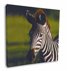 A Pretty Zebra Square Canvas 12"x12" Wall Art Picture Print