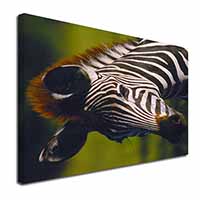 A Pretty Zebra Canvas X-Large 30"x20" Wall Art Print