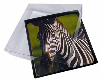4x A Pretty Zebra Picture Table Coasters Set in Gift Box