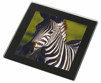 A Pretty Zebra Black Rim High Quality Glass Coaster