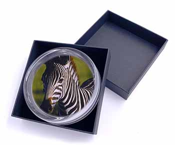 A Pretty Zebra Glass Paperweight in Gift Box