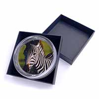 A Pretty Zebra Glass Paperweight in Gift Box