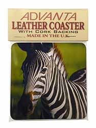 A Pretty Zebra Single Leather Photo Coaster