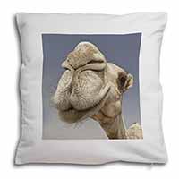 Camels Intrigued by Camera Soft White Velvet Feel Scatter Cushion