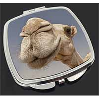 Camels Intrigued by Camera Make-Up Compact Mirror