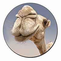 Camels Intrigued by Camera Fridge Magnet Printed Full Colour