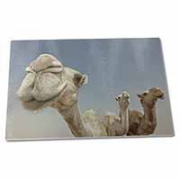 Large Glass Cutting Chopping Board Camels Intrigued by Camera