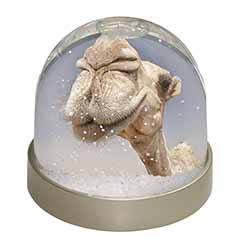 Camels Intrigued by Camera Snow Globe Photo Waterball