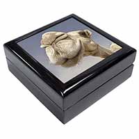 Camels Intrigued by Camera Keepsake/Jewellery Box