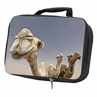 Camels Intrigued by Camera Black Insulated School Lunch Box/Picnic Bag