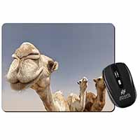 Camels Intrigued by Camera Computer Mouse Mat