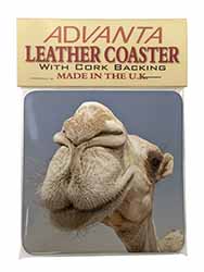 Camels Intrigued by Camera Single Leather Photo Coaster