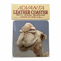 Camels Intrigued by Camera Single Leather Photo Coaster