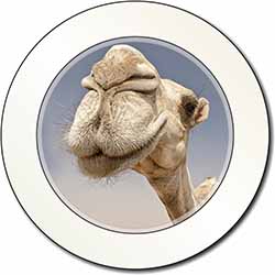 Camels Intrigued by Camera Car or Van Permit Holder/Tax Disc Holder