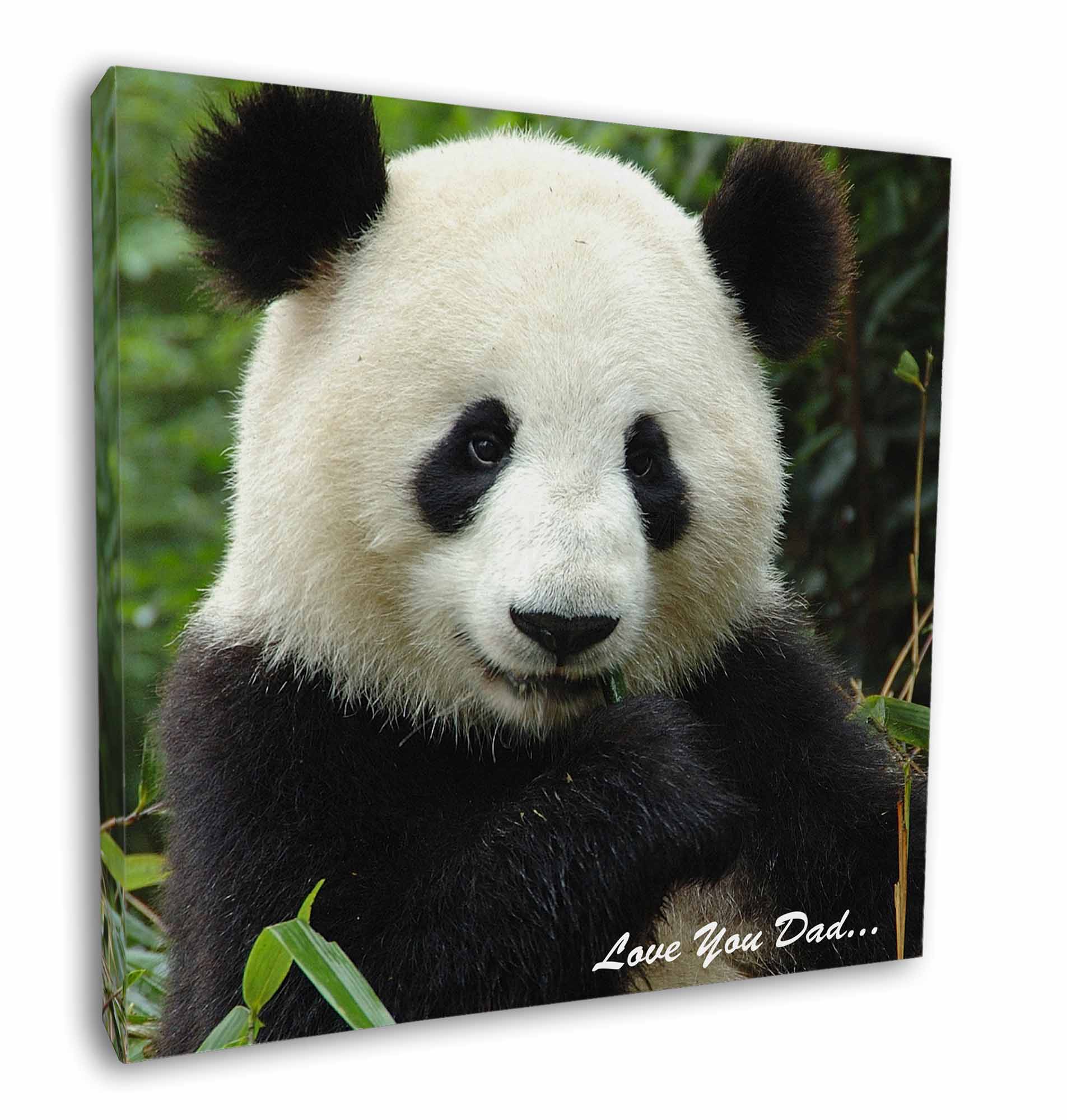 A0 A1 A2 A3 A4 Sizes Panda Bear Cute Wildlife Giant Poster