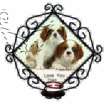 Cavalier King Charles 