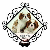 Cavalier King Charles 