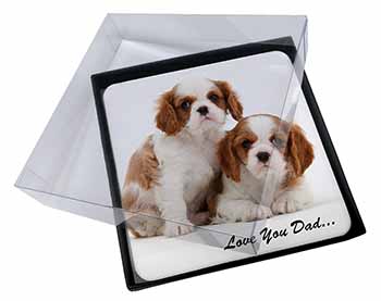 4x Cavalier King Charles 