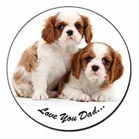 Cavalier King Charles 