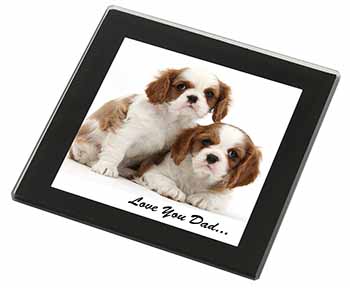 Cavalier King Charles 