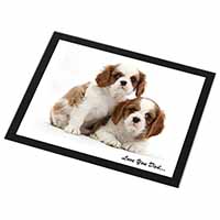 Cavalier King Charles 