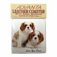 Cavalier King Charles 