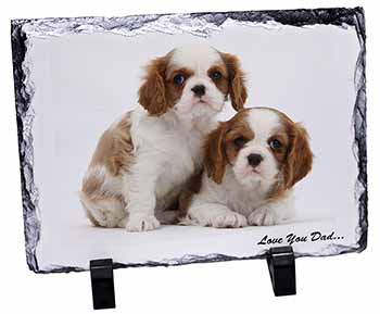 Cavalier King Charles 