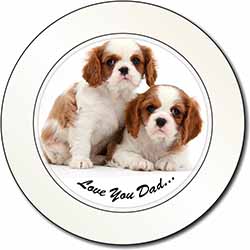 Cavalier King Charles 