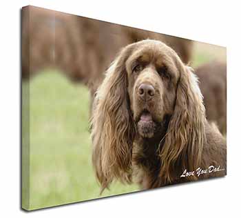 Sussex Spaniel 