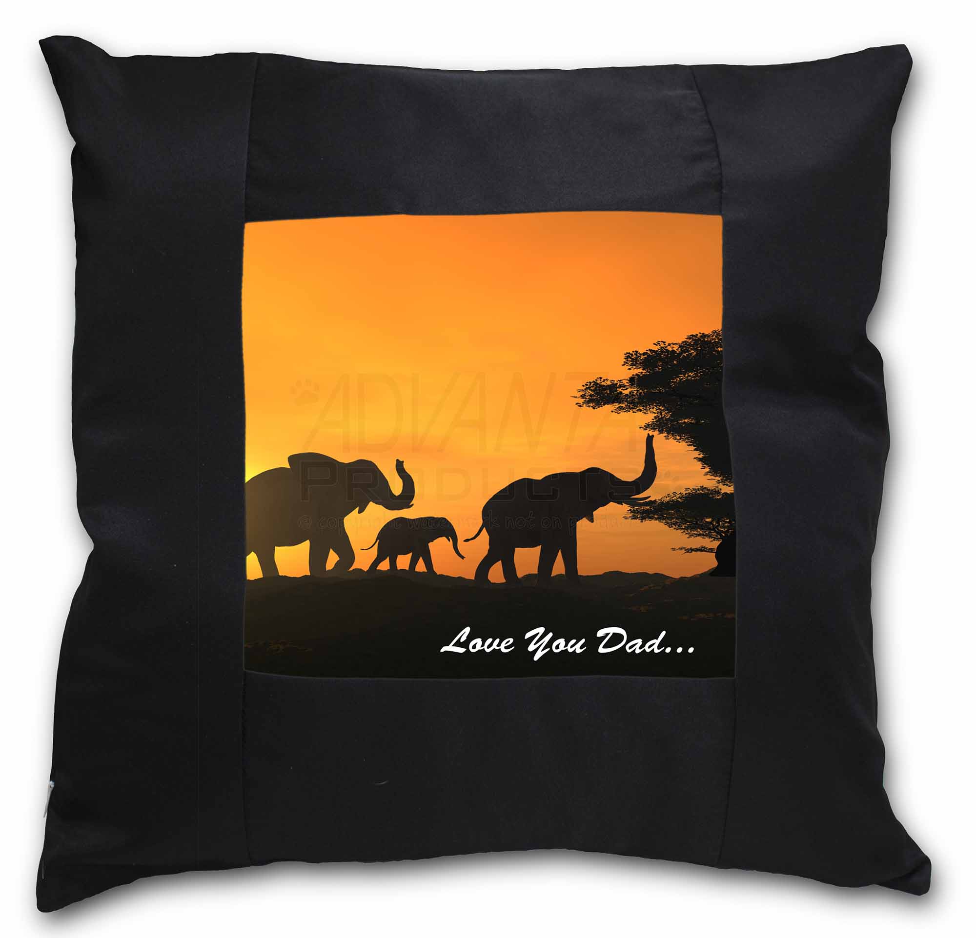 Cat Sentiment cushion Vintage Gingham Style Gifts 65947