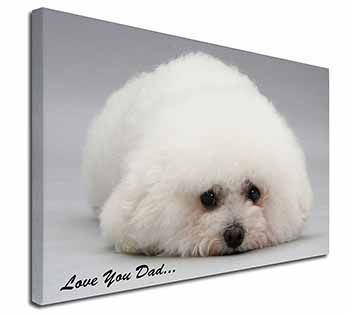 Bichon Frise 