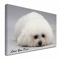 Bichon Frise 