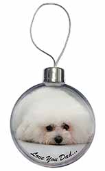 Bichon Frise 