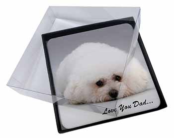 4x Bichon Frise 