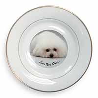 Bichon Frise 