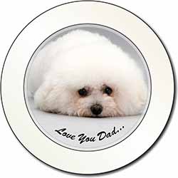 Bichon Frise 