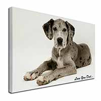 Great Dane Dog 