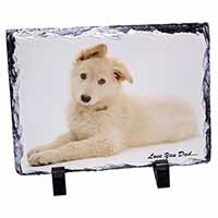 White German Shepherd 