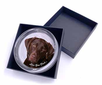 Labrador 
