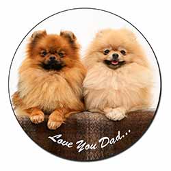 Pomeranian Dogs 