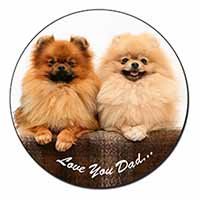 Pomeranian Dogs 