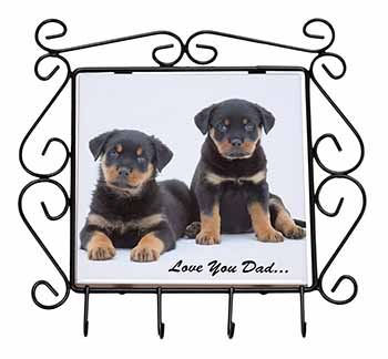 Rottweiler Dogs 