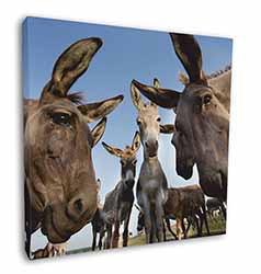 Donkeys Intrigued by Camera Square Canvas 12"x12" Wall Art Picture Print