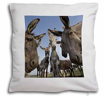 Donkeys Intrigued by Camera Soft White Velvet Feel Scatter Cushion