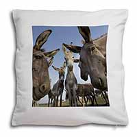 Donkeys Intrigued by Camera Soft White Velvet Feel Scatter Cushion