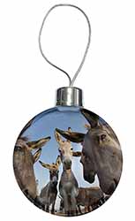 Donkeys Intrigued by Camera Christmas Bauble