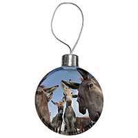Donkeys Intrigued by Camera Christmas Bauble