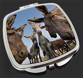 Donkeys Intrigued by Camera Make-Up Compact Mirror